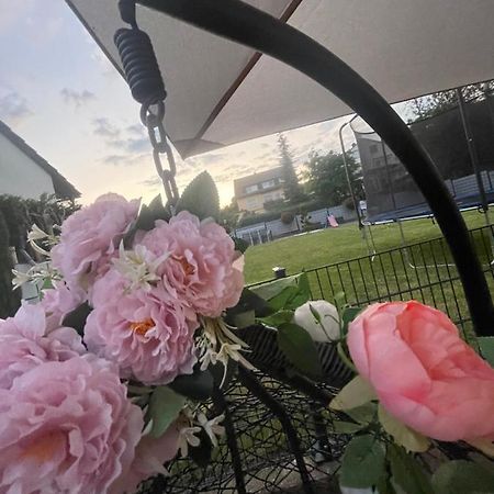 Ferienwohnung Marie Рюдесхайм ам Рейн Екстериор снимка